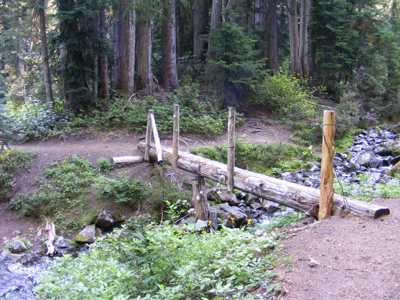 Stream and pond