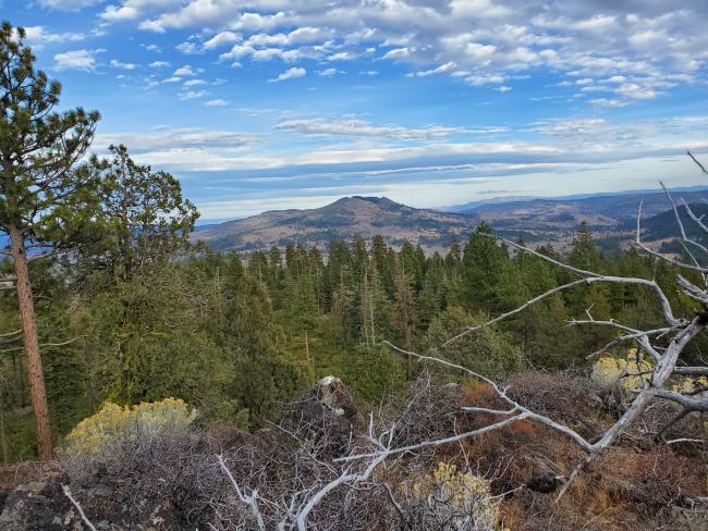 The view from Barry Point toward Dog Mountain