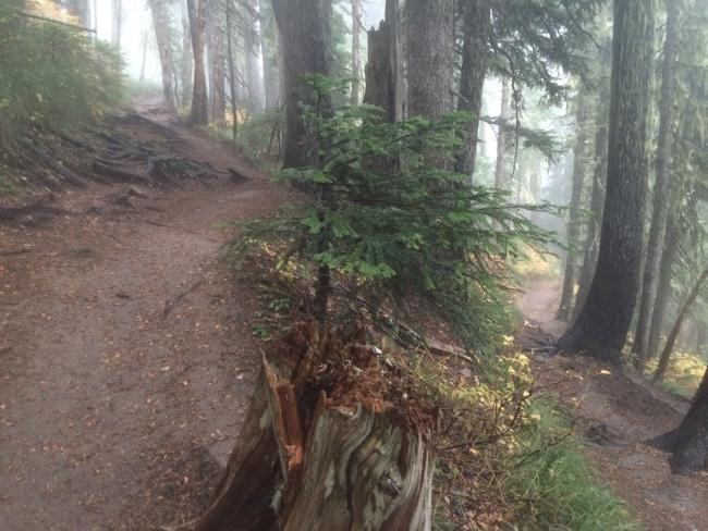 Trail leading to Euclid Lake