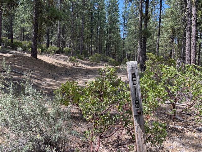 forest road sign post near parking spot