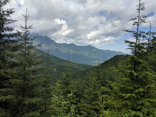 There are even views of the tail end of Lake Cushman.