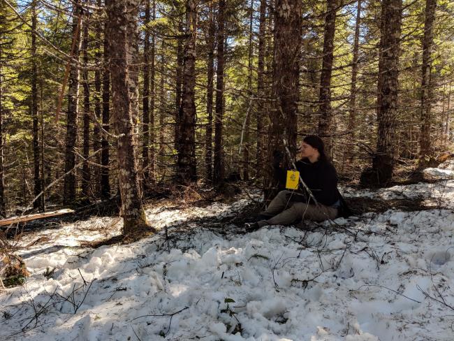 Trees make great tripods - and don't forget your chair!