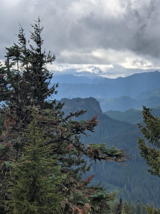 A view of Wolf Rock, a large steep-sided monolith, partially obscured by trees