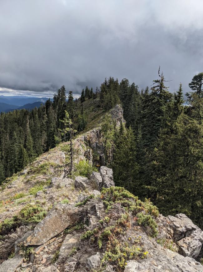 The AZ of Bunchgrass, a narrow ridge with steep cliffs on the side in places.