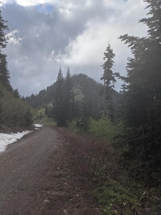 View of Wildcat from the base in the saddle; it looks like a cone-shaped peak