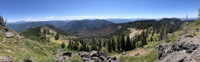 Staley Ridge Looking Southeast on East Ridge