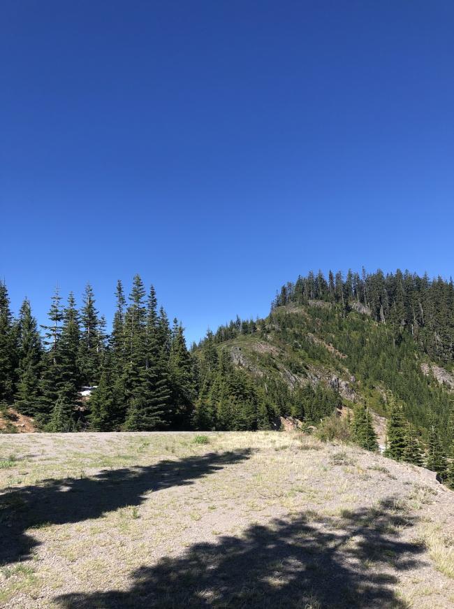 Staley Ridge View from East on FS 2134-250