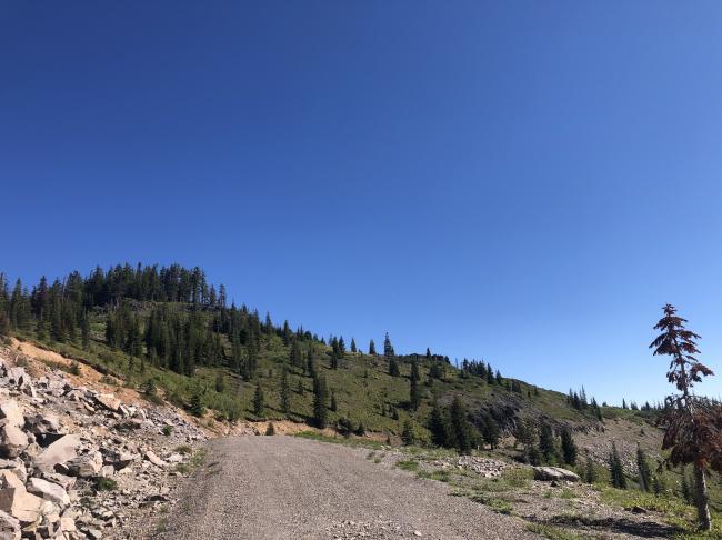 Staley Ridge View from South on FS 2134-250