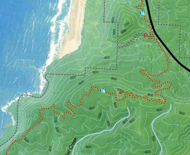 Cape Falcon Trail to Peak 1060