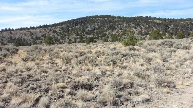 Little Glass Butte