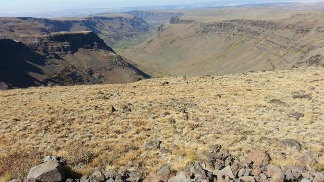 Big Indian Gorge from Steens Mountain Loop Road