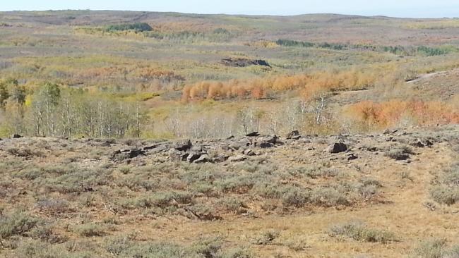 Fall colors along Steens Mountain Loop Road