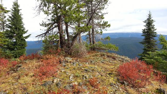 "Chasers Rock" Summit - Mount Hood should be in the background...