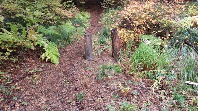 "Chasers Rock" Trailhead off NF 2613