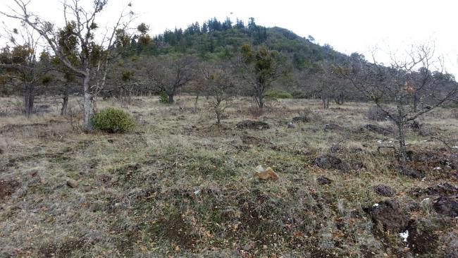 Roxy Ann Peak from just past the gate