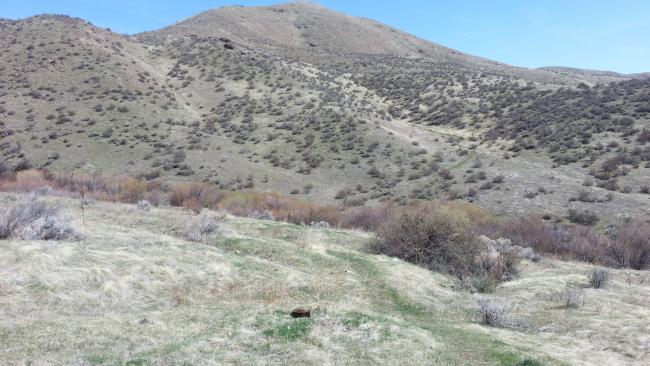 The faint trail in the foreground, Sam High Point in the center