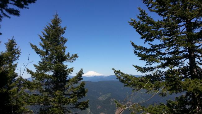 Mount Adams view