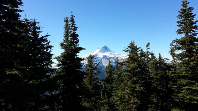 View of Mount Hood from 6001 summit