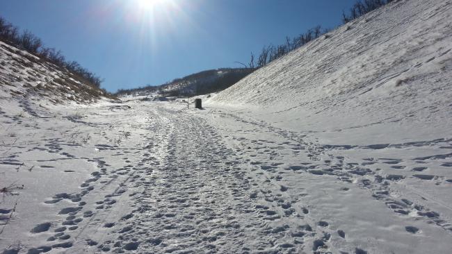 Deer Ridge Drive - now a trail