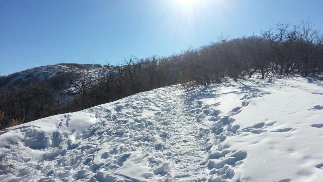 Summit trail - summit monument can be faintly seen.