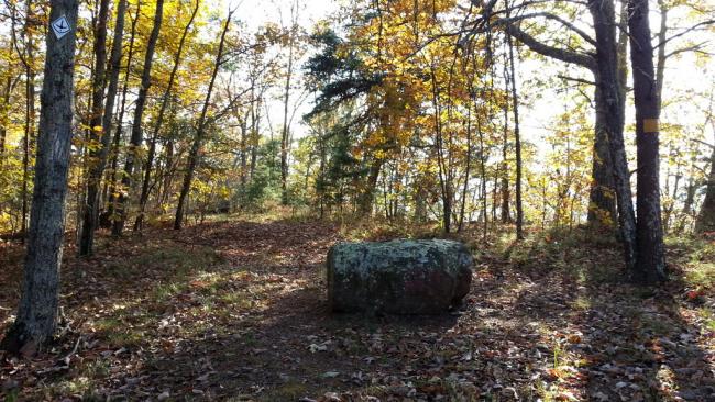 Taylor Ridge Summit