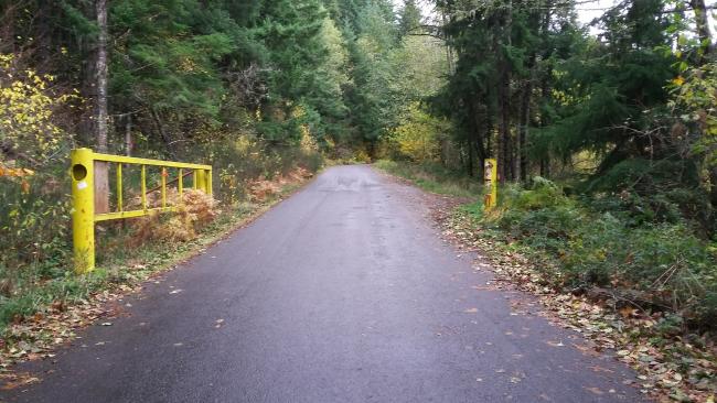 Center of three yellow gates