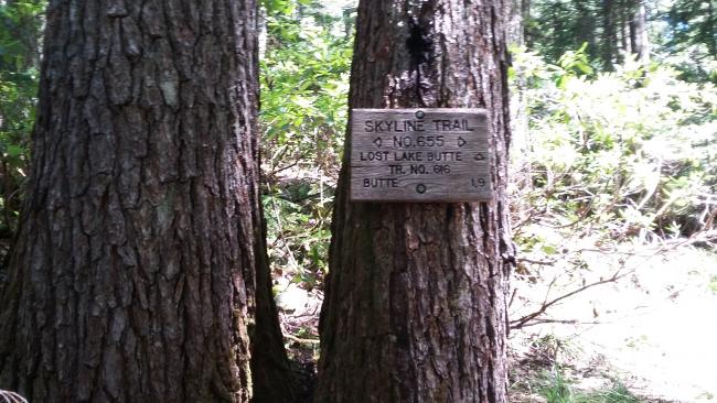 Lost Lake Butte - sign at trail junction