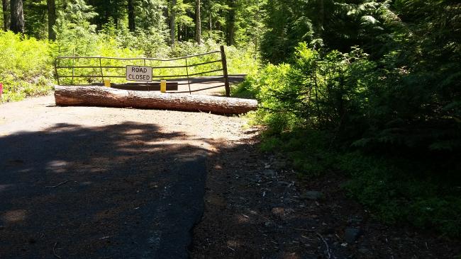 'Free' parking area outside Lost Lake Resort