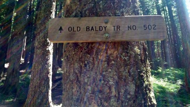 Old Baldy Trail #502