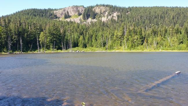 Green Point Mountain from Rainy Lake