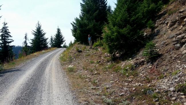 Abandoned road heading upwards to right