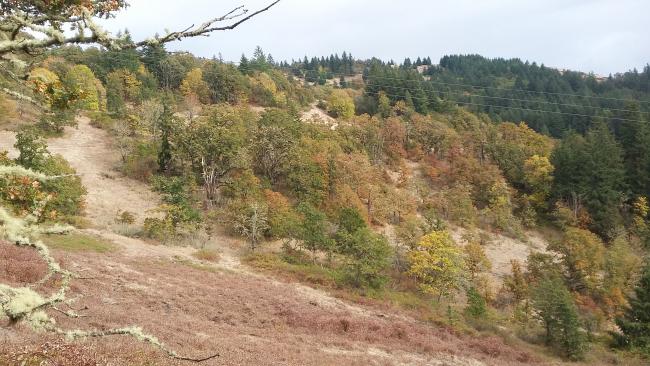 The summit from the trail