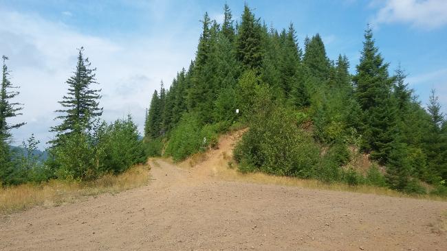 Motorcycle trail leading to the summit of 2814