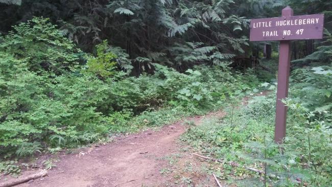 Trailhead sign for Little Huckleberry