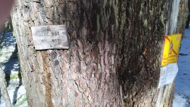 Blue Box Trail Sign