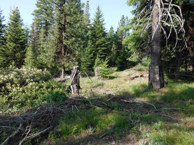 Fence line leading to summit