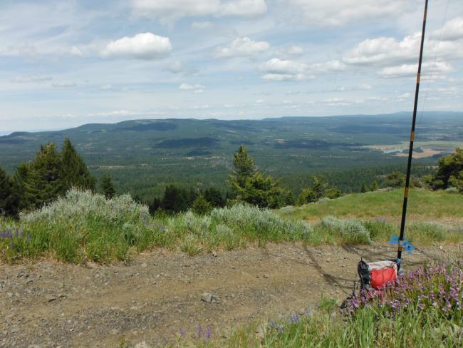 Round Mountain - Antenna