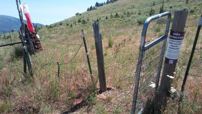 Gate with windsock