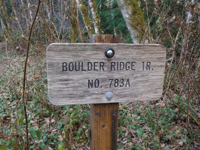 Boulder Ridge Trail #783A