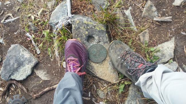 USGS Marker for Little Huckleberry