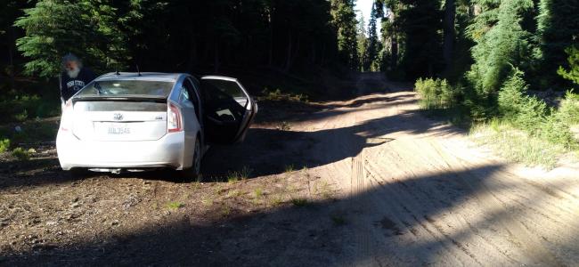 Prius Parking