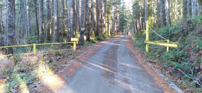 Gate on Prices Lake Rd