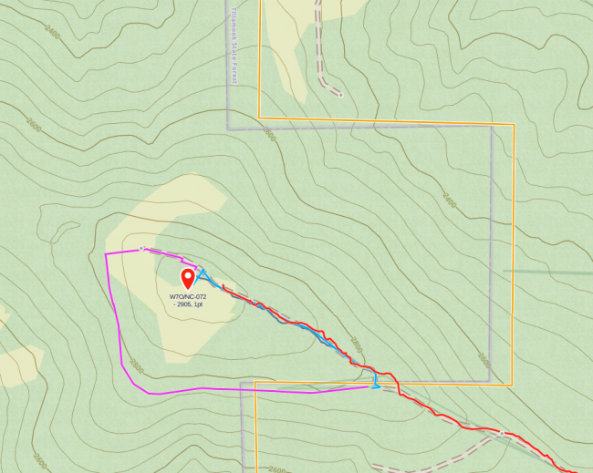 Orange line is Stimpson property line