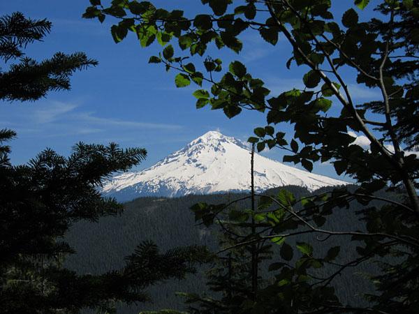 Mt. Hood