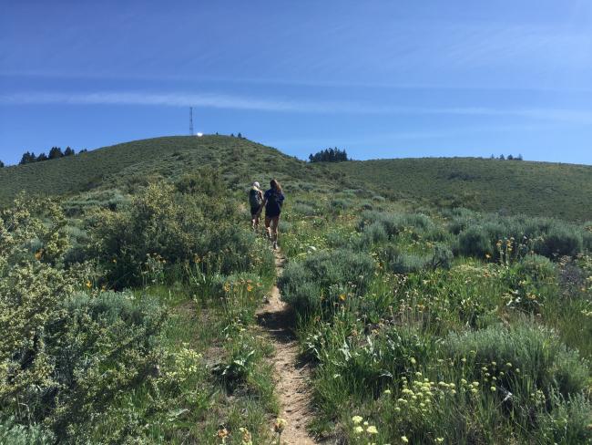 Cutoff trail to the summit