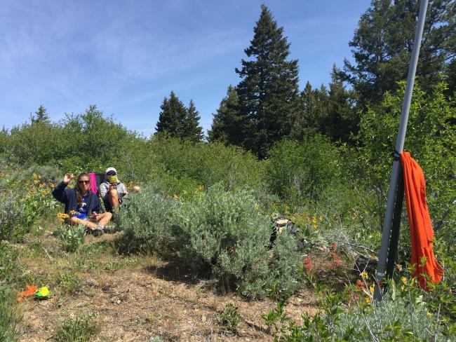 Peanut Gallery at the summit