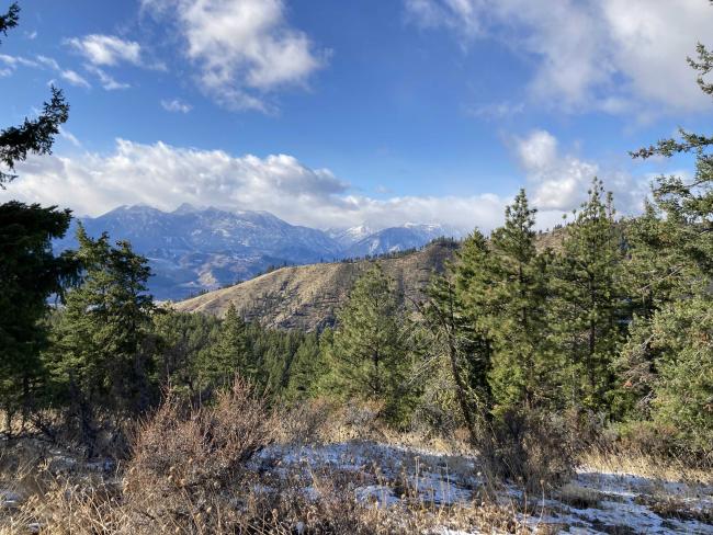 The view to the west on the trail. Trees and mountains are visible.