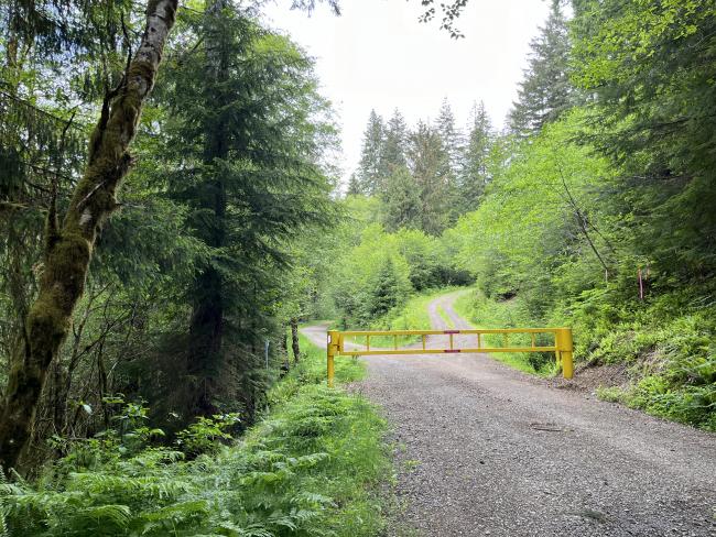 Yellow gate blocking a gravel road in the woods