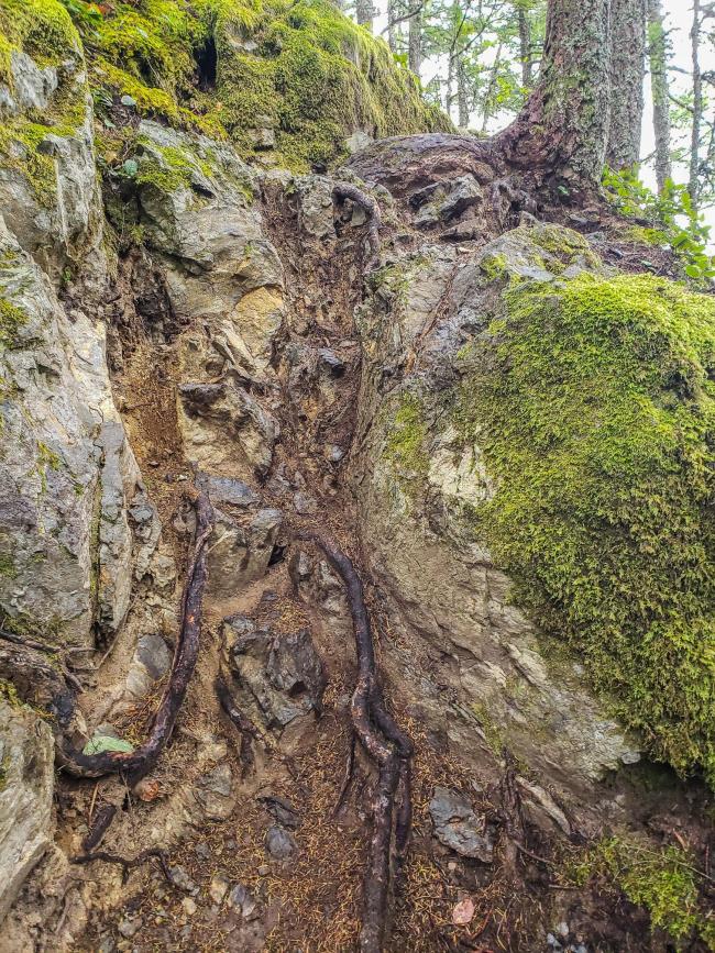 The first short scramble section, about 15 feet of climbing