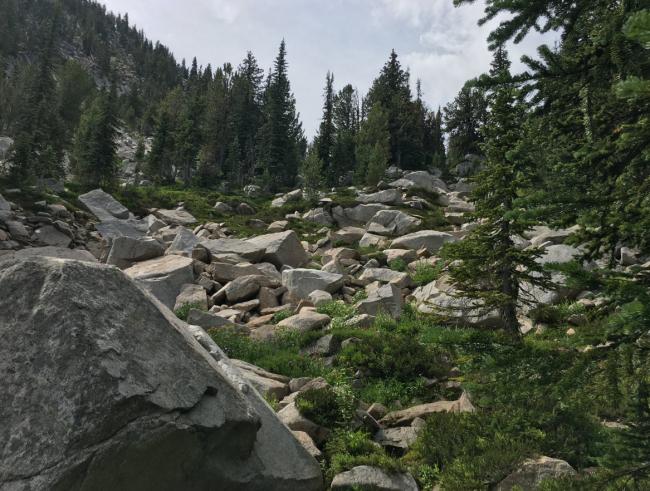 Boulder fields in Angell Basin